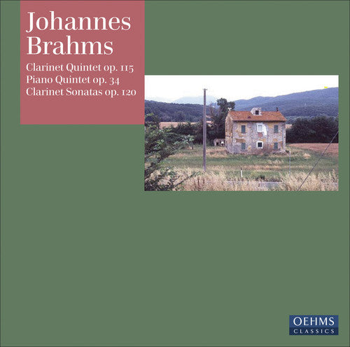 Clarinet Quintet -- Brahms / Perl / Manno / Schiefen / Rohde / Cunz, CD
