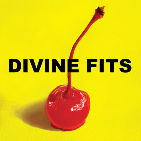 A Thing Called Divine Fits, Divine Fits, LP