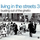 Billy Hawks, Carlos Malcolm, The Mighty Tom Cats, Etc. - Living In The Streets 3: Busting Out Of The Ghetto (Wah Wah Jazz, Funky Soul And Other Good Grooves) (2xLP) - Vinyl LP, LP