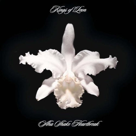 Aha Shake Heartbreak, Kings Of Leon, LP