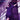Companion (Live)