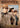 Rawhide: Seventh Season - 2
