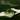Legacy: Tribute To Fleetwood Mac's Rumours / Var