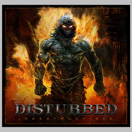 Indestructible, Disturbed, LP