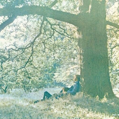 Plastic Ono Band, Yoko Ono, LP