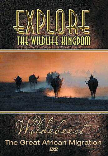 Wildebeest The Great African Migration -- Explore The Wildlife Kingdom, DVD