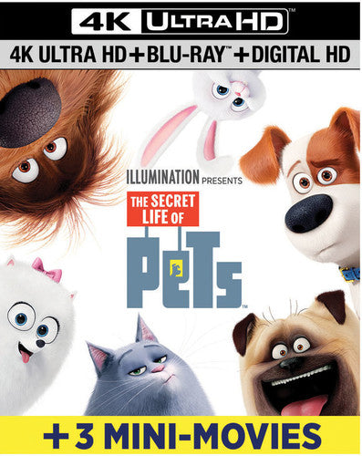 Secret Life Of Pets