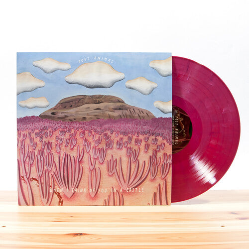 When I Think Of You In A Castle, Post Animal, LP