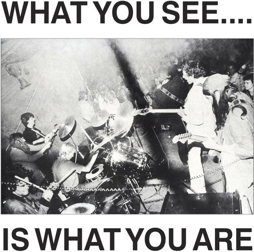What You See Is What You Are -- Here & Now & Alternative TV, CD