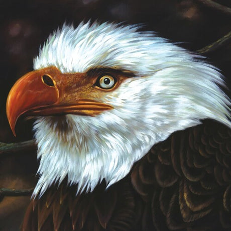 Hawk Is Howling, Mogwai, LP