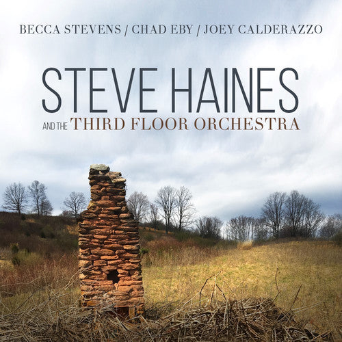 Steve Haines And The Third Floor Orchestra -- Haines,Steve & Third Floor Orchestra, CD