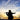 Bach - Sonatas & Partitas