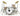Axe Hvn Cw0601 Charlie Watts Rollng Stns Gretsch D