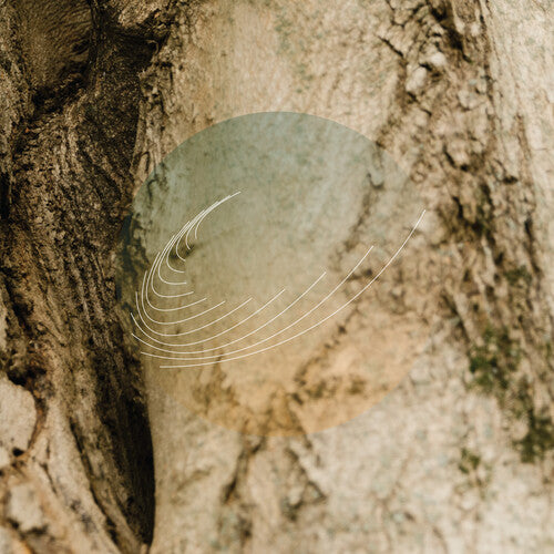 Maples Ash & Oaks: Cedars Instrumentals -- Field Works, CD