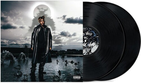 Fighting Demons, Juice Wrld, LP