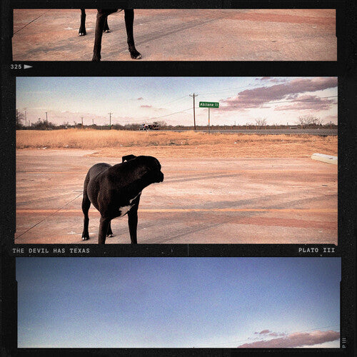 Devil Has Texas - Clear Dark Teal