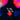 Love In The Void