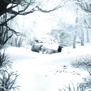 Sznz: Winter
