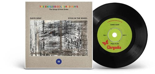 Endless Coloured Ways: The Songs Of Nick Drake -- David Gray, 7"