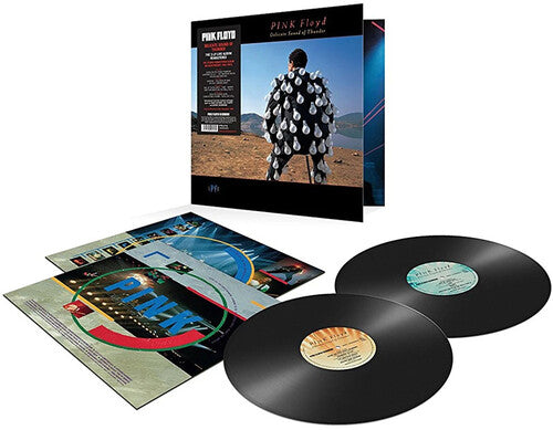 Delicate Sound Of Thunder, Pink Floyd, LP