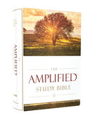 Amplified Study Bible, Hardcover -- Zondervan, Bible
