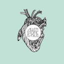 Radius, Allen Stone, LP