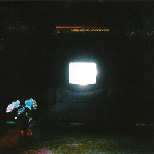 Does It Look Like I'm Here? - Ectoplasm, Emeralds, LP