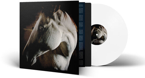 How To Kill A Horse, Brother Dege, LP