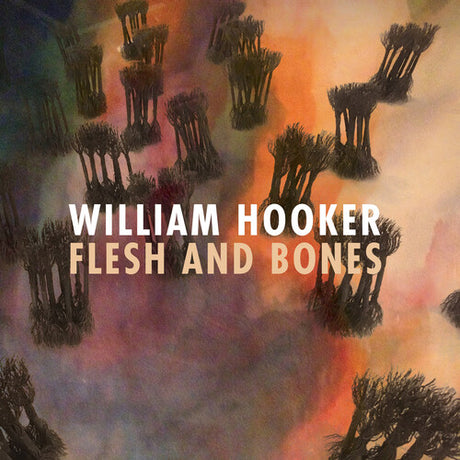 Flesh And Bones, William Hooker, LP
