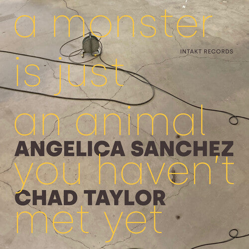 Monster Is Just An Animal You Haven't Met Yet -- Angelica Sanchez, CD