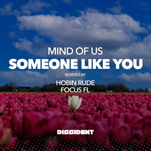 Someone Like You (Streaming Version) -- Mind Of Us, CD