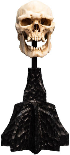 Lotr Trilogy - Skull Of A Mordor Orc Miniature, Open Edition Polystone, Collectibles