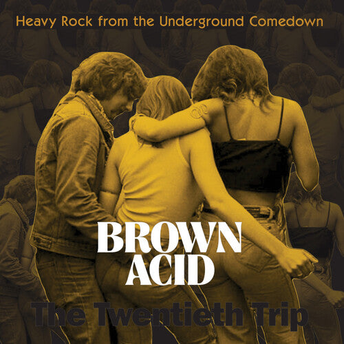 Brown Acid Twentieth Trip / Various