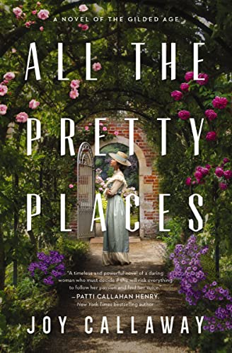 All the Pretty Places: A Novel of the Gilded Age -- Joy Callaway, Paperback