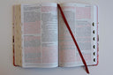 Biblia Reina Valera 1960 Letra Grande. Tela Rosada Con Flores, Manual Con Índice / Spanish Bible Rvr 1960, Large Print, Pink Floral Cloth with Index -- Reina Valera Revisada 1960, Bible
