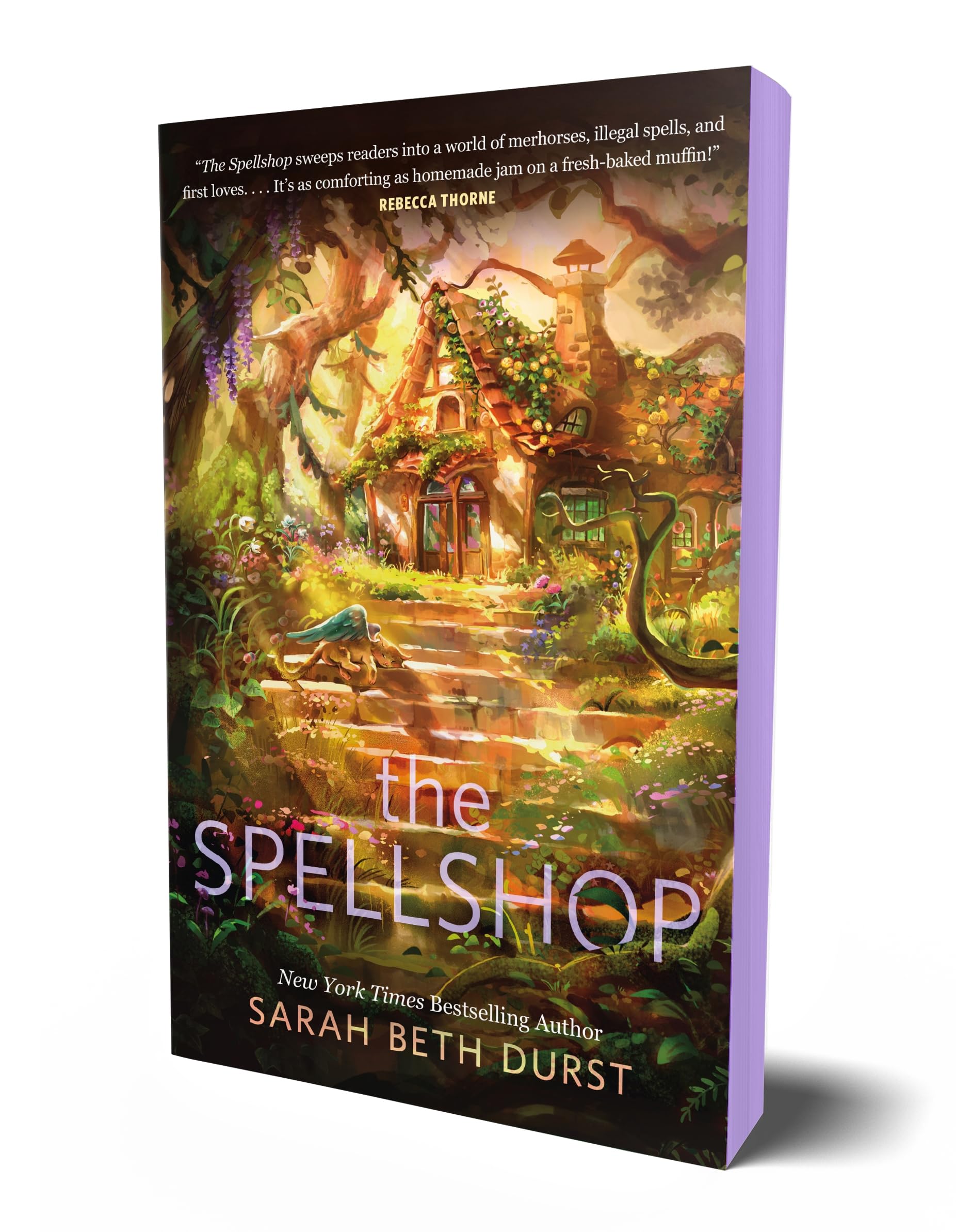 The Spellshop by Durst, Sarah Beth