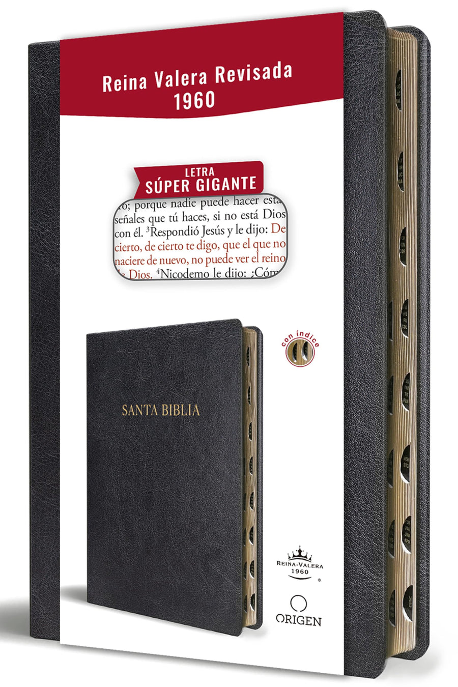 Biblia Reina Valera Revisada 1960 Letra Súper Gigante, Símil Piel Negro Con Índice / Spanish Bible Rvr 1960 Super Giant Print, Black Leathersoft W/ Th -- Reina Valera Revisada 1960, Bible