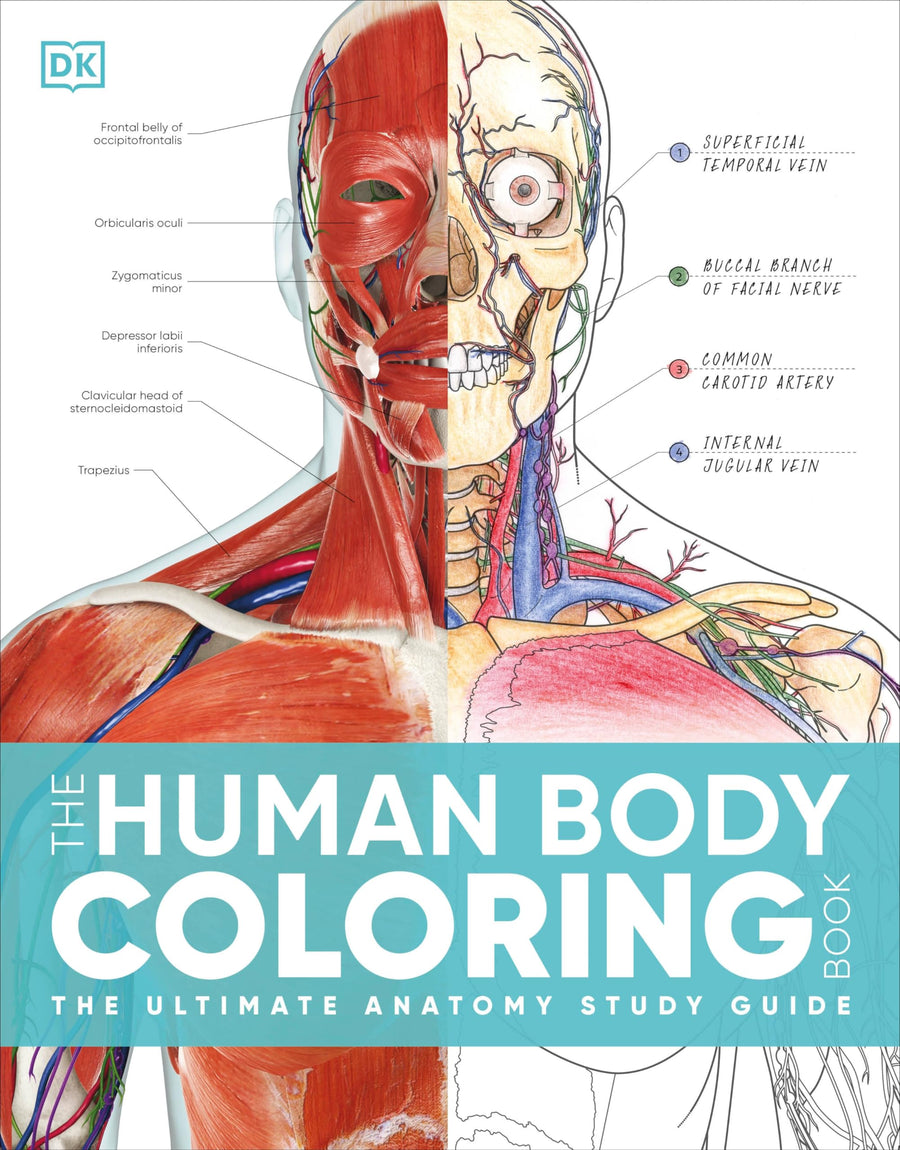 The Human Body Coloring Book: The Ultimate Anatomy Study Guide, Second Edition -- DK, Paperback