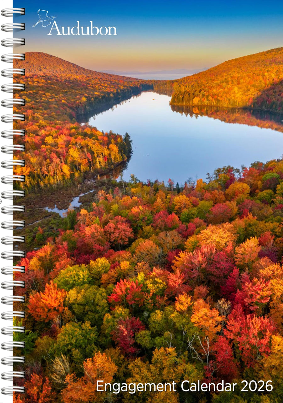 Audubon Engagement Calendar 2026: A Tribute to Nature and Its Spectacular Landscapes -- Workman Calendars, Desk