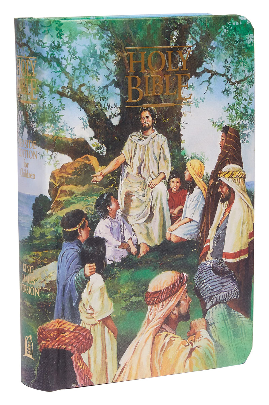 Seaside Bible-KJV -- Thomas Nelson, Bible