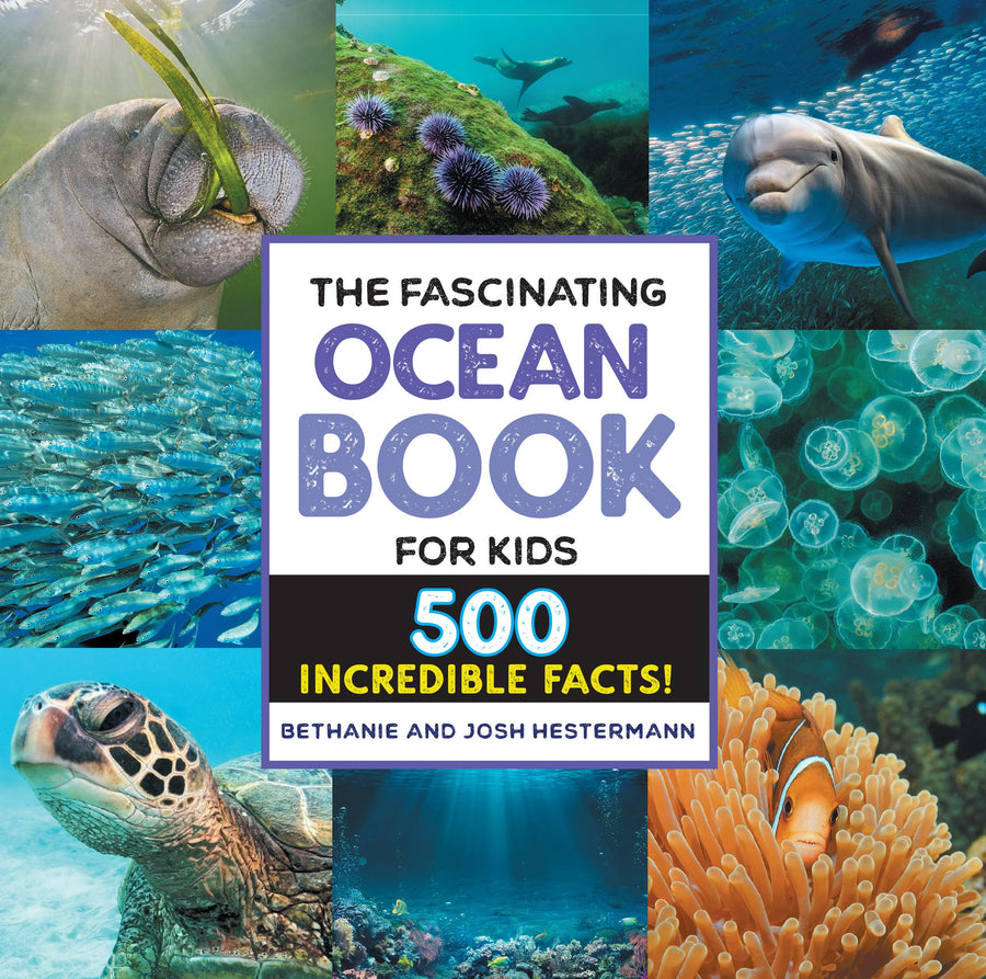 The Fascinating Ocean Book for Kids: 500 Incredible Facts! -- Bethanie Hestermann, Hardcover