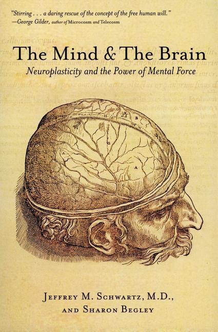 The Mind and the Brain: Neuroplasticity and the Power of Mental Force -- Jeffrey M. Schwartz, Paperback