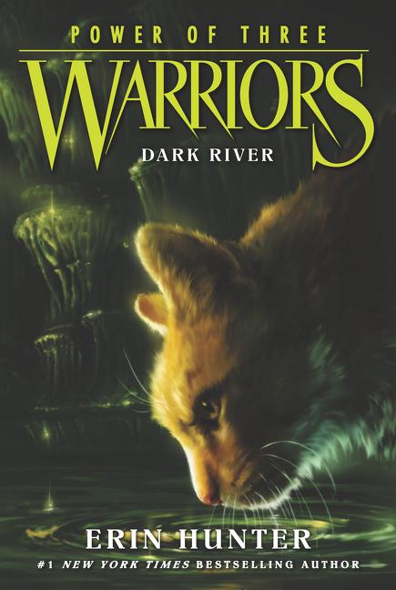 Warriors: Power of Three #2: Dark River -- Erin Hunter, Paperback