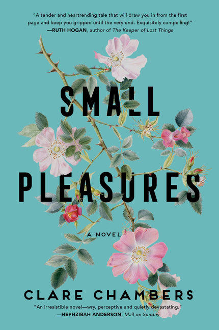 Small Pleasures -- Clare Chambers, Paperback