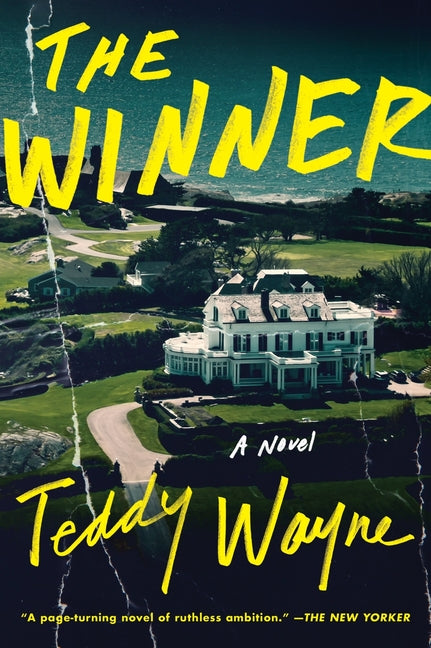 The Winner -- Teddy Wayne, Paperback