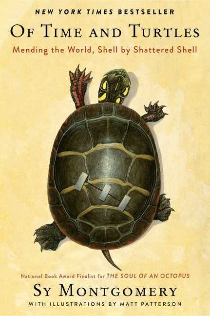 Of Time and Turtles: Mending the World, Shell by Shattered Shell -- Sy Montgomery, Paperback