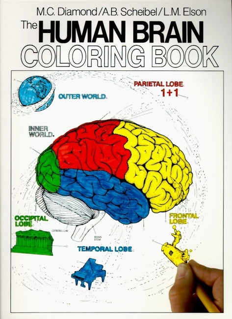 The Human Brain Coloring Book -- Marian C. Diamond, Paperback