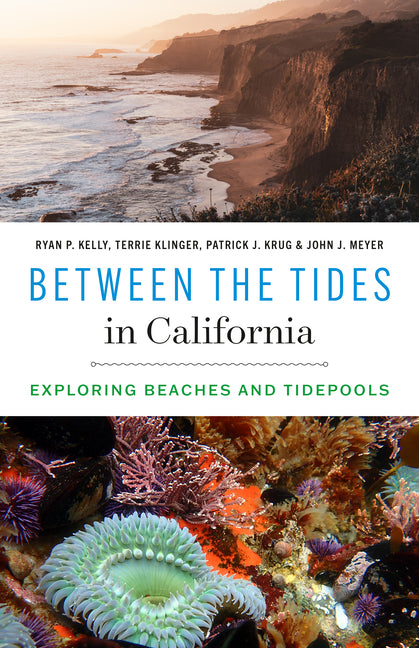 Between the Tides in California: Exploring Beaches and Tidepools -- Ryan P. Kelly, Paperback