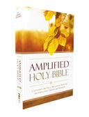Amplified Outreach Bible, Paperback: Capture the Full Meaning Behind the Original Greek and Hebrew -- Zondervan, Bible