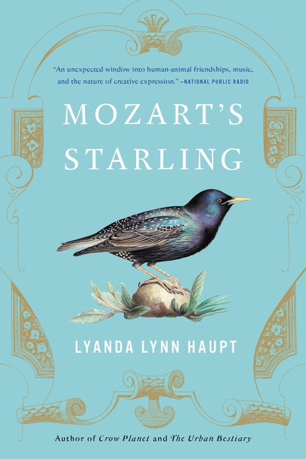 Mozart's Starling -- Lyanda Lynn Haupt, Paperback